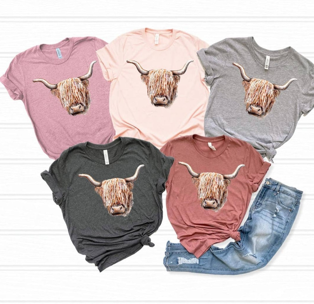 Highland Cow Peach Tee